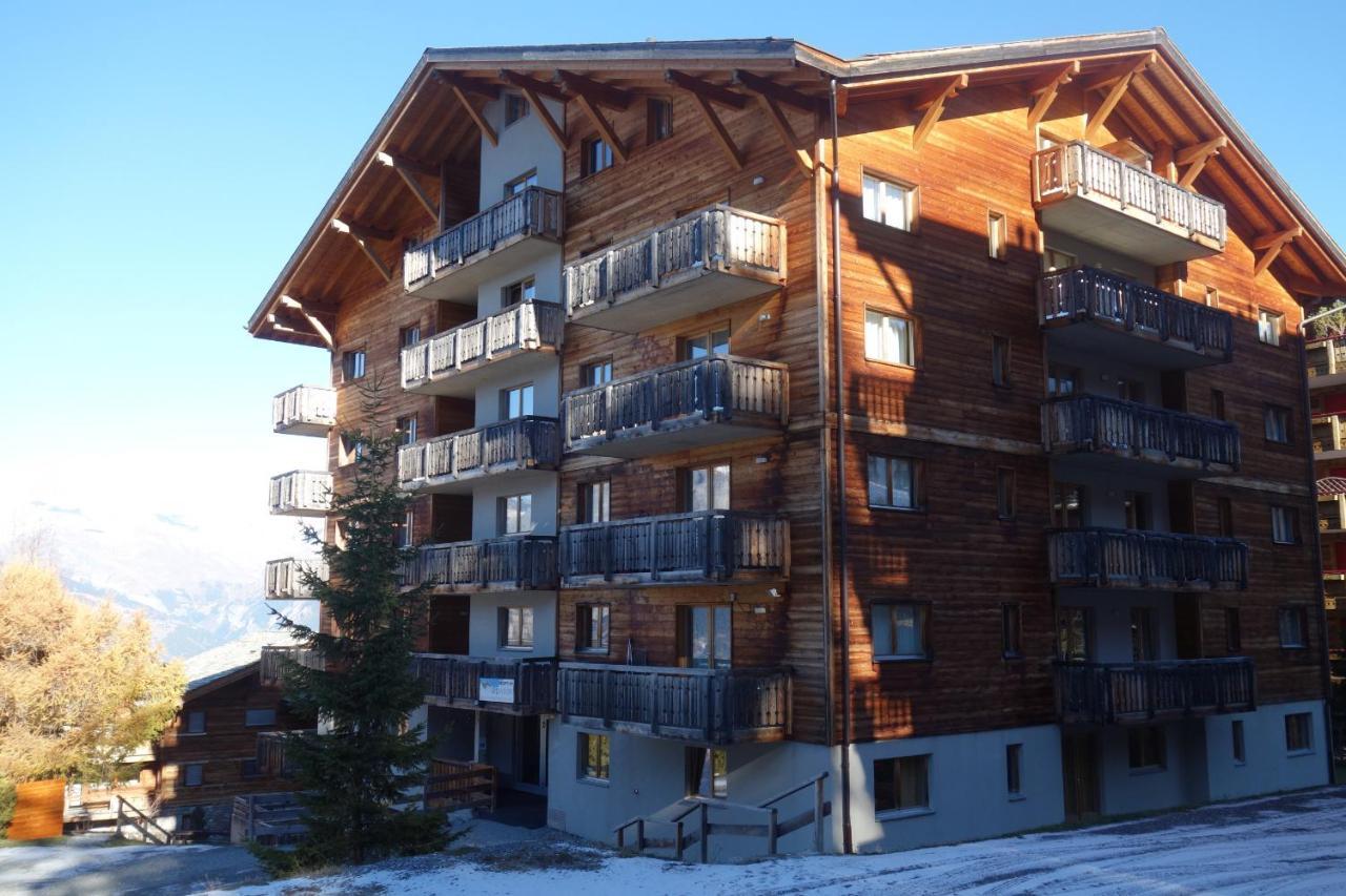 Pracondu Outdoor & Fun Appartement 2 Chambres Superieur Avec Balcon Nendaz Exterior photo