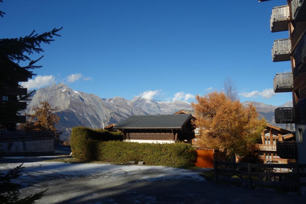 Pracondu Outdoor & Fun Appartement 2 Chambres Superieur Avec Balcon Nendaz Exterior photo