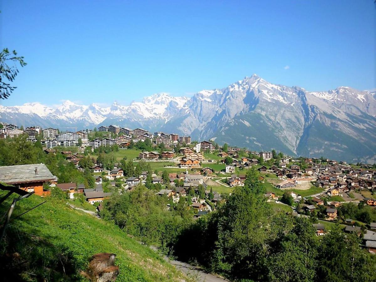 Pracondu Outdoor & Fun Appartement 2 Chambres Superieur Avec Balcon Nendaz Exterior photo