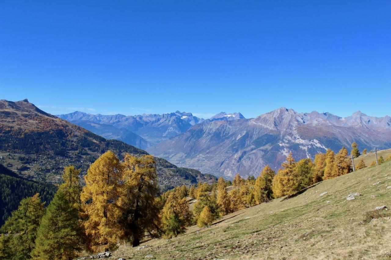 Pracondu Outdoor & Fun Appartement 2 Chambres Superieur Avec Balcon Nendaz Exterior photo